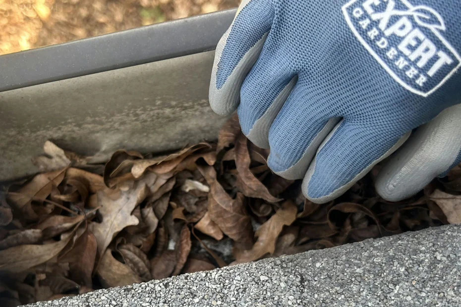 Mendenhall Gutter Cleaning