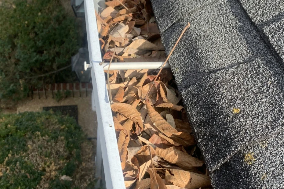 Mendenhall Gutter Cleaning
