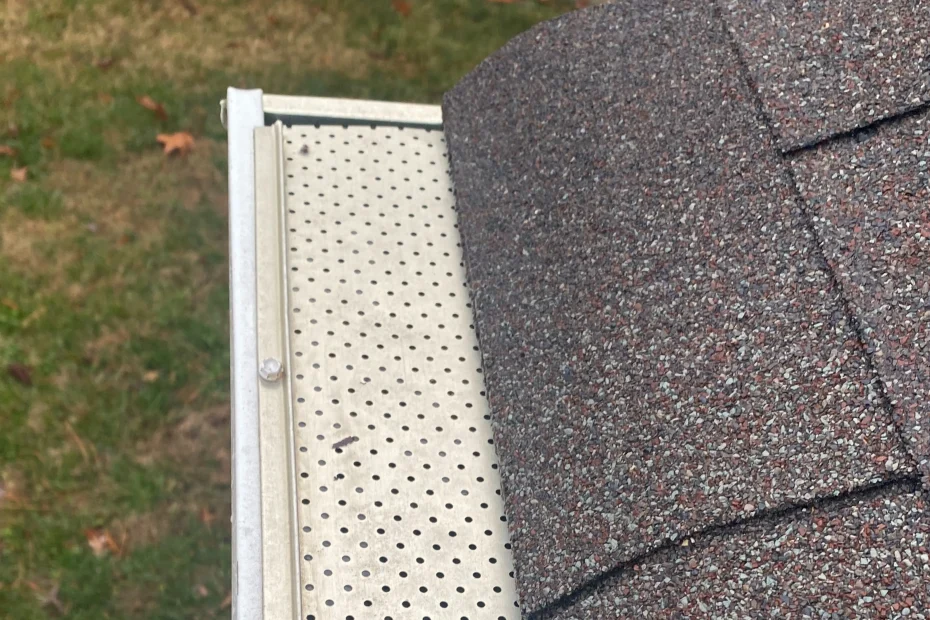 Mendenhall Gutter Cleaning